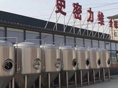 杜集精酿啤酒设备厂—如何判断精酿啤酒设备的密封件需要更换？
